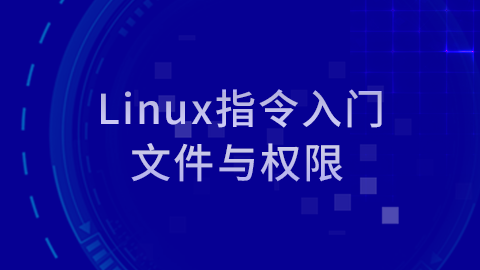 Linux指令入门-文件与权限 