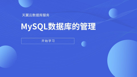 MySQL数据库的管理 
