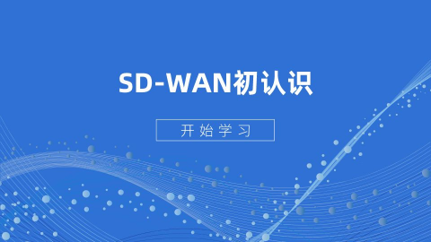 SD-WAN初认识 