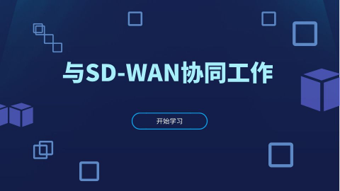 与SD-WAN协同工作 