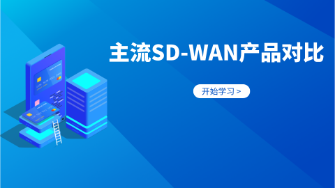 主流SD-WAN产品对比 