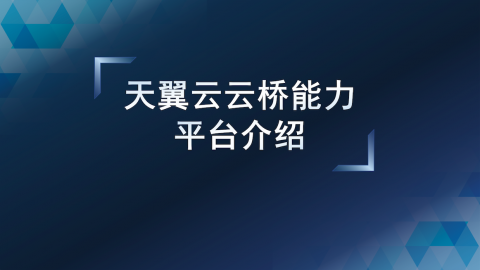 天翼云云桥能力平台介绍 