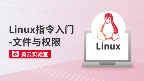 Linux指令入门-文件与权限 