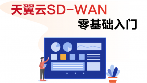 天翼云SD-WAN零基础入门 